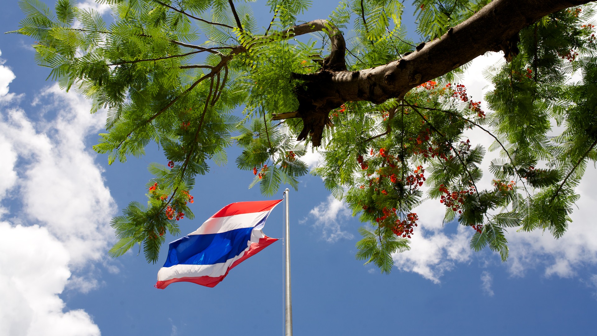 Deep in the Heart of Thailand